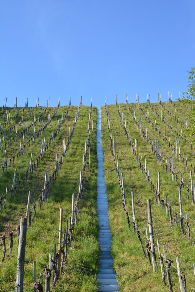 Ittingen Vincent Fournier